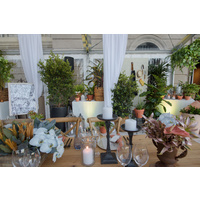 Product alt image 6