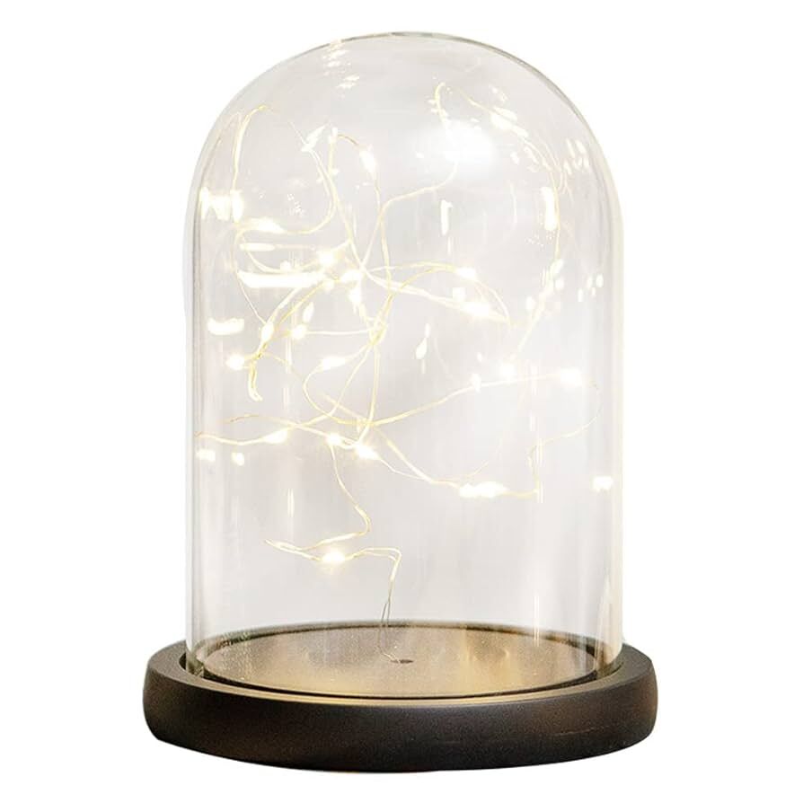 Dome Cloche Twinkle Lights