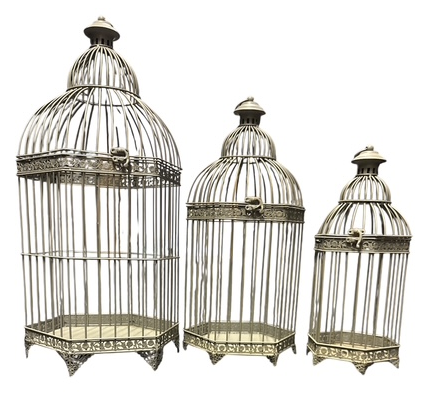 Bird Cages Trio