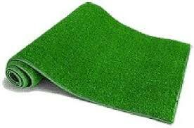 Synthetic Grass/Astro Turf