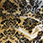 Black & Gold Damask