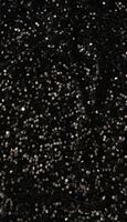 Black Sequin