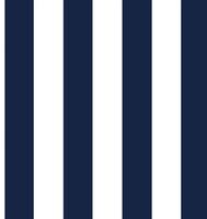 Navy and White Stripe
