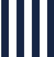 Navy and White Stripe