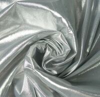 Silver Lame 