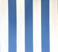 Blue & White Stripe