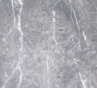Grey Teramo Marble